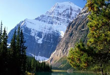 大坂直美官方宣布晋级下一阶段新规，美国队引发争议！上演精彩一战的简单介绍